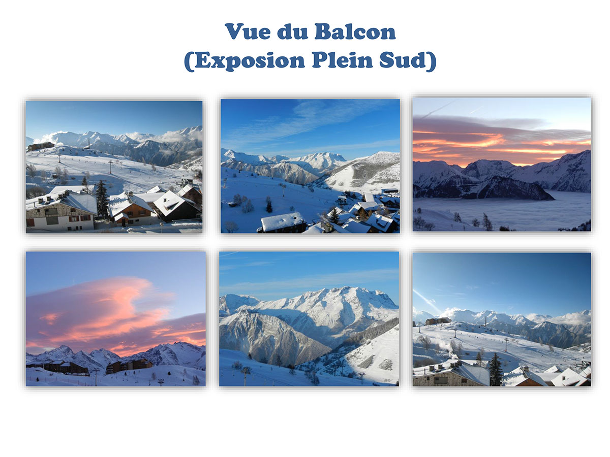 Ours Blanc