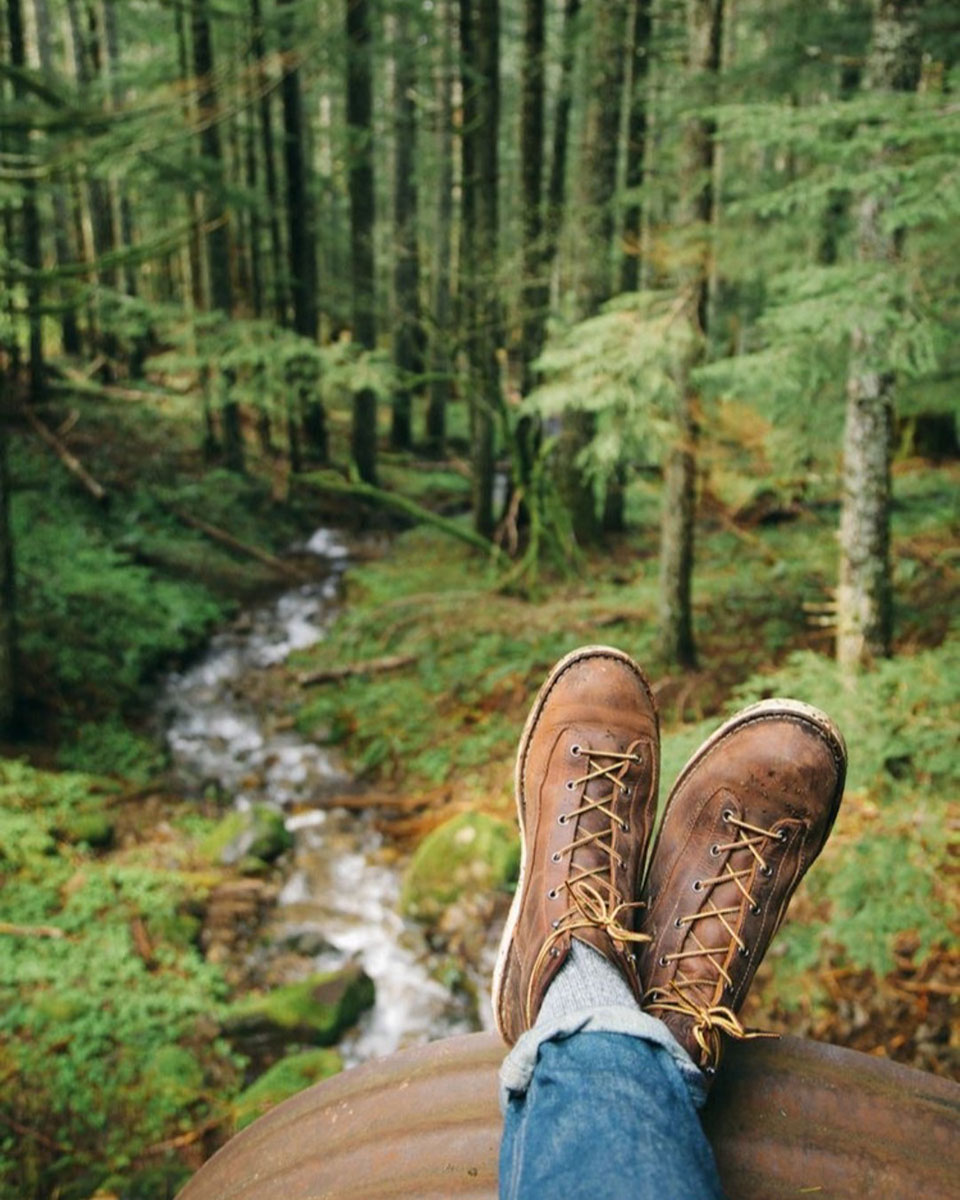 Anna Purna Adventure