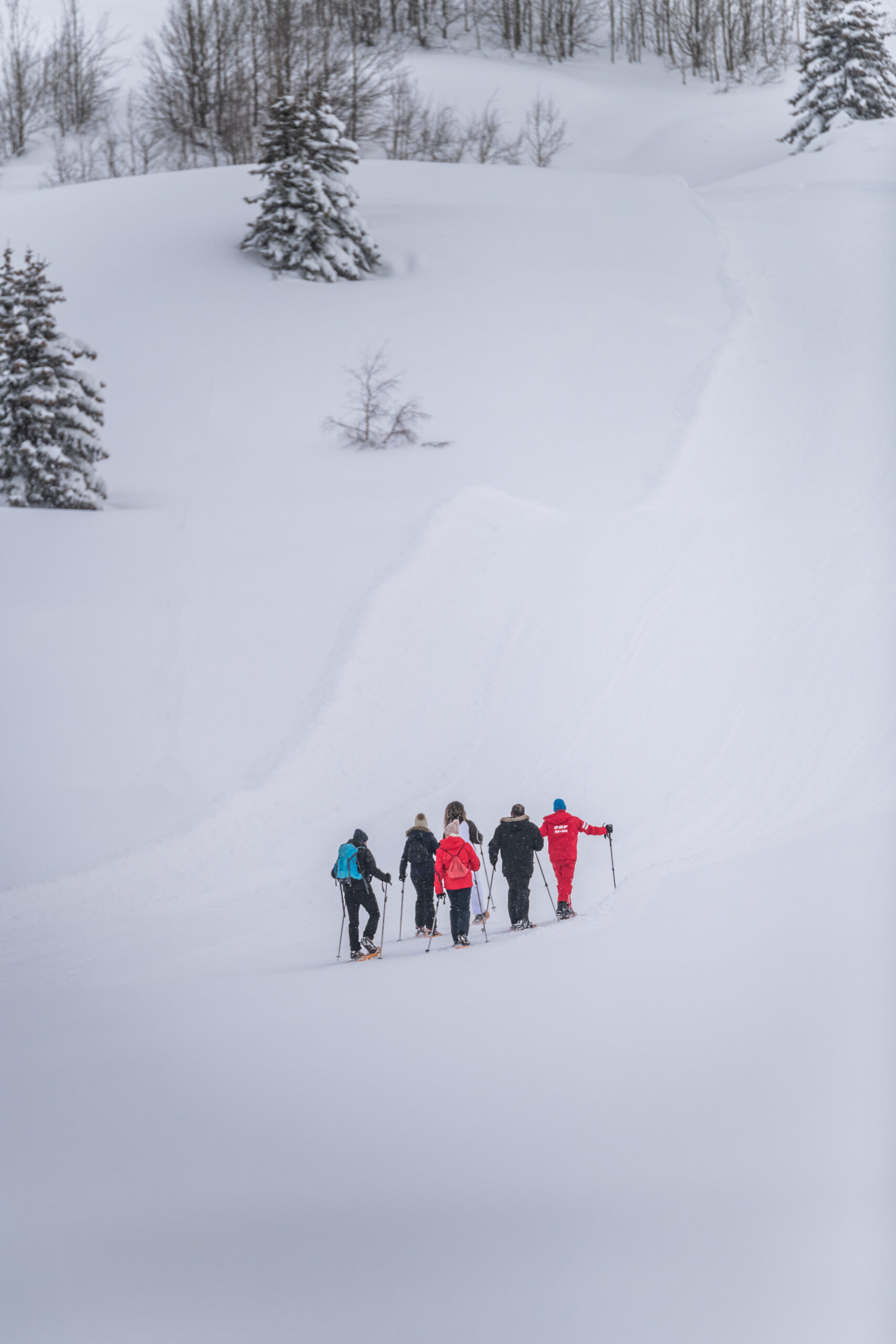 Ecole du Ski Français