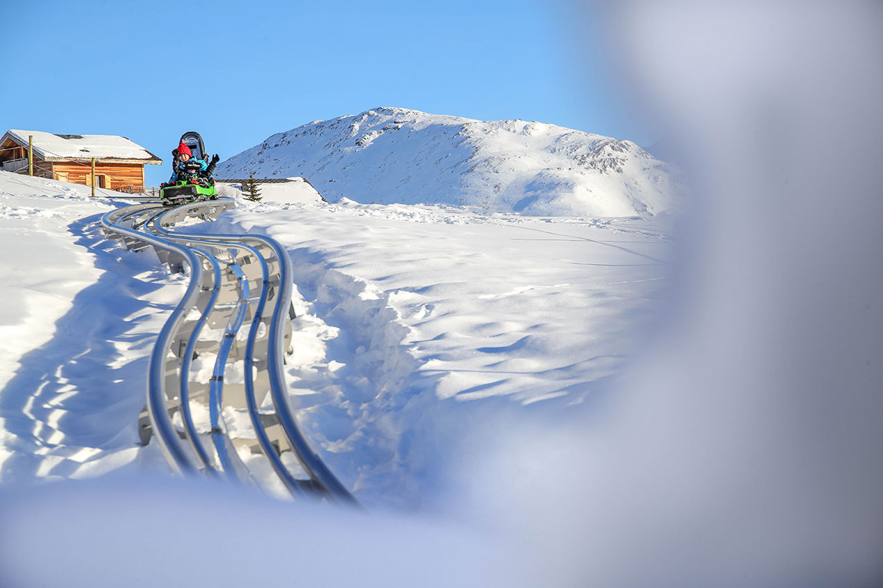 Luge 4 saisons sur rail