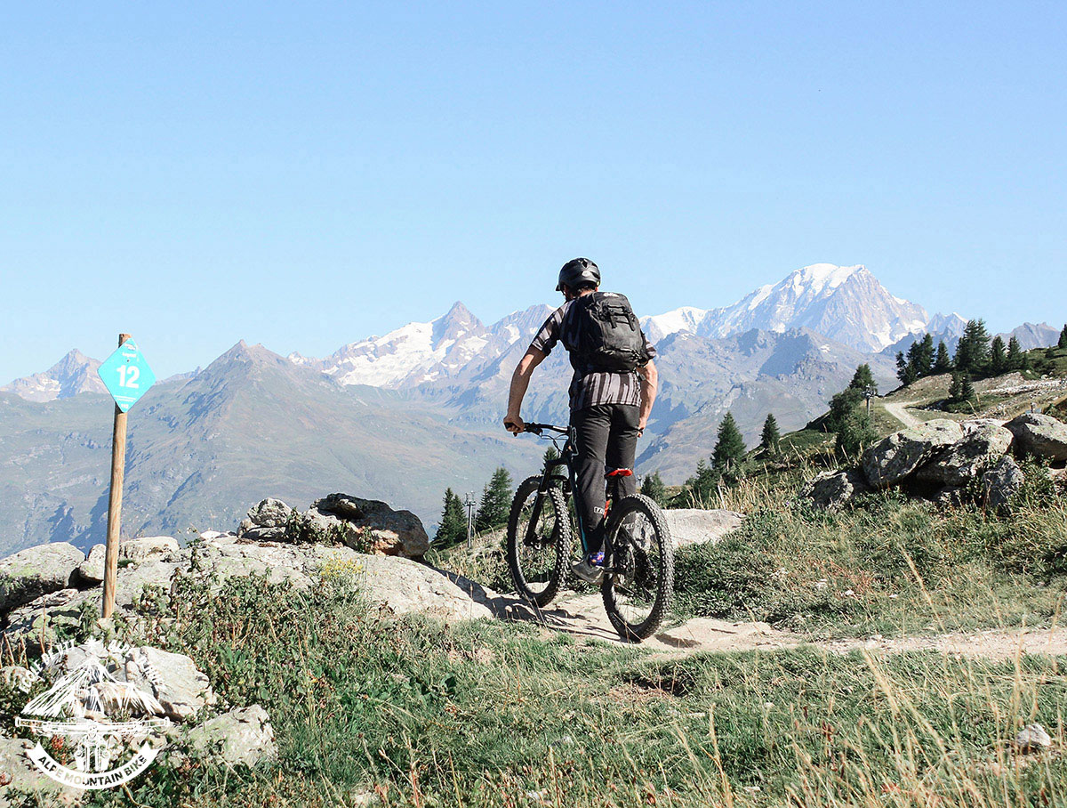 Alpe Mountain Bike