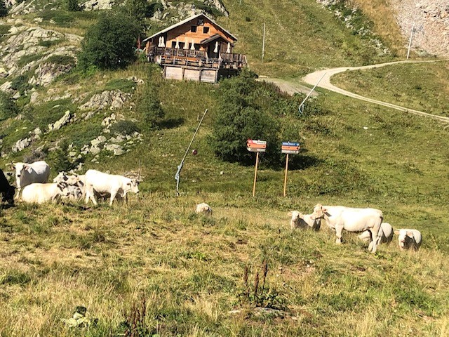 Aventure été 2