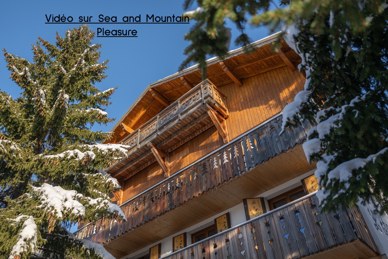 Chalet Alpe Two 12P- 5 CH- 5 SDB - Jacuzzi- Sauna- Pieds des pistes et centre
