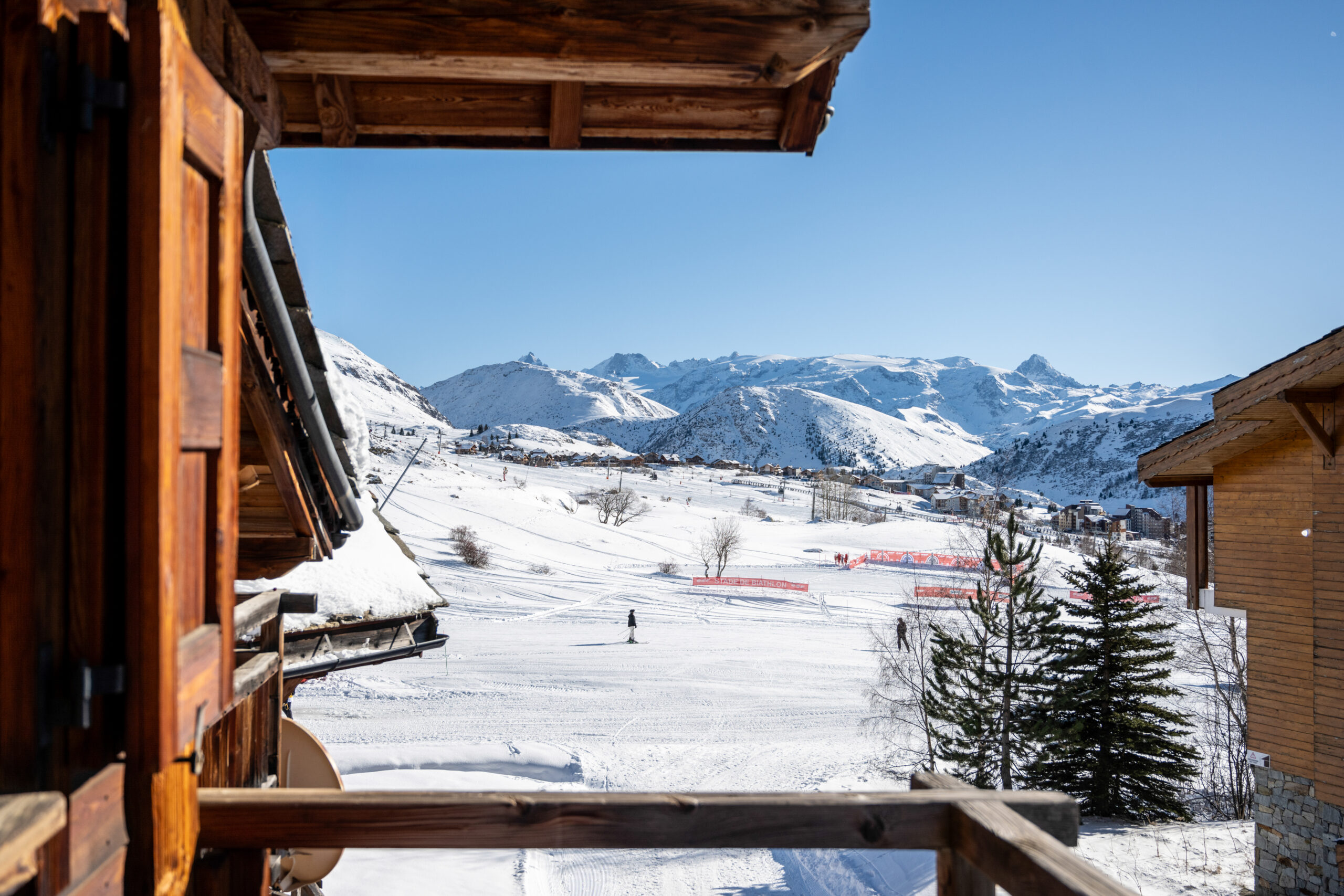 Marmotte et lièvre blanc