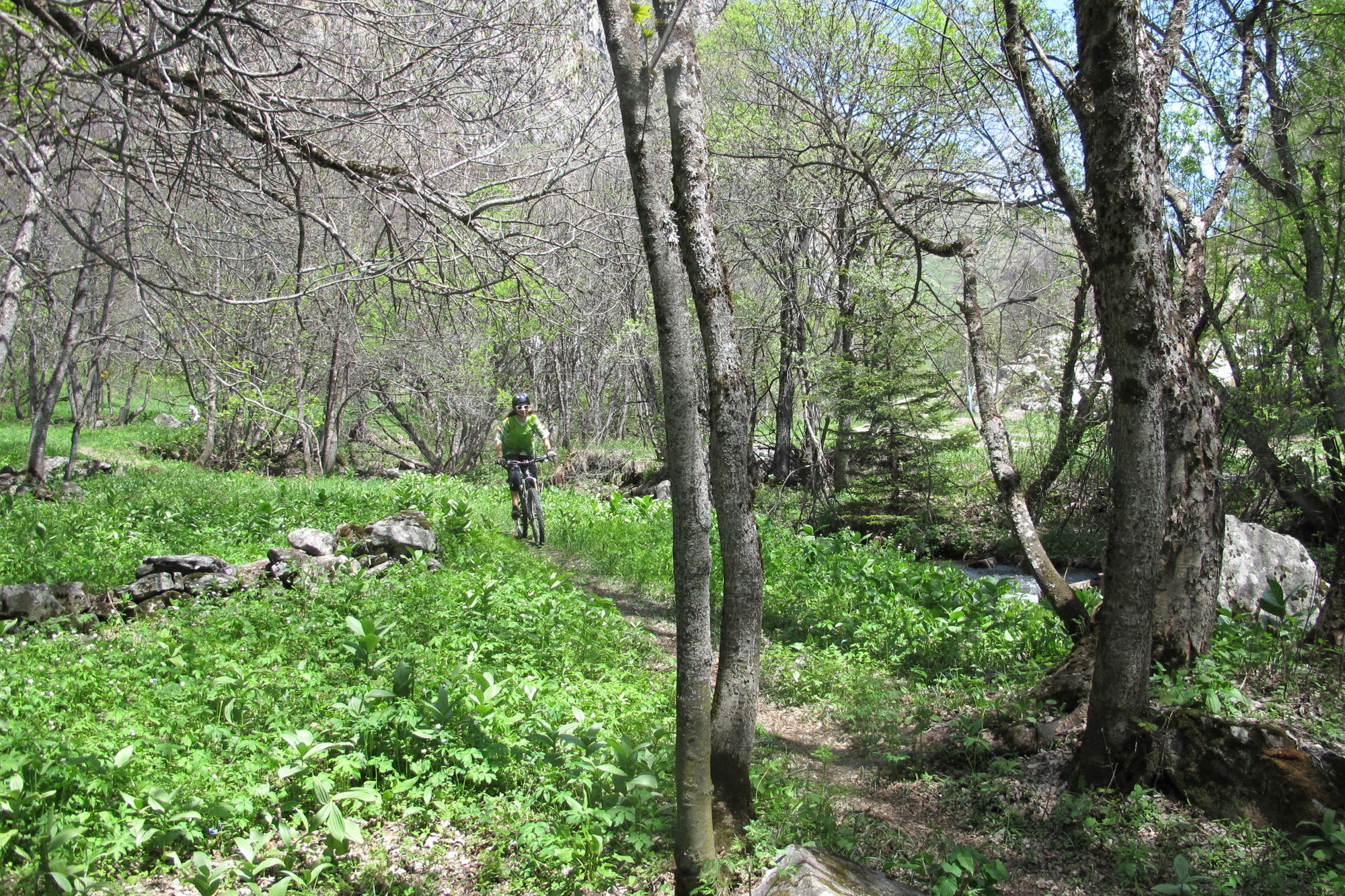 Chemin du pêcheurs