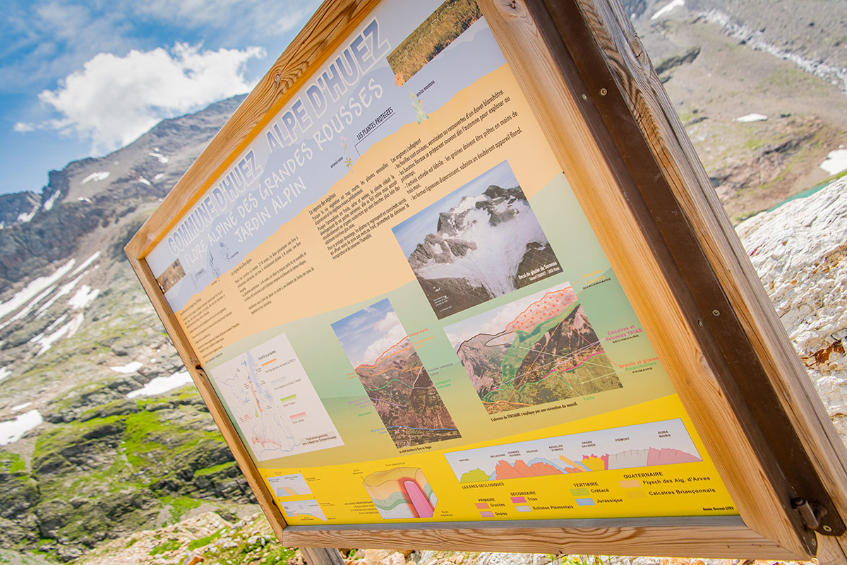 A la d&eacute;couverte de la flore
