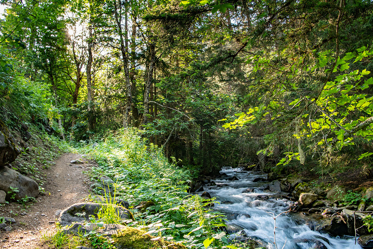 A la d&eacute;couverte de la flore