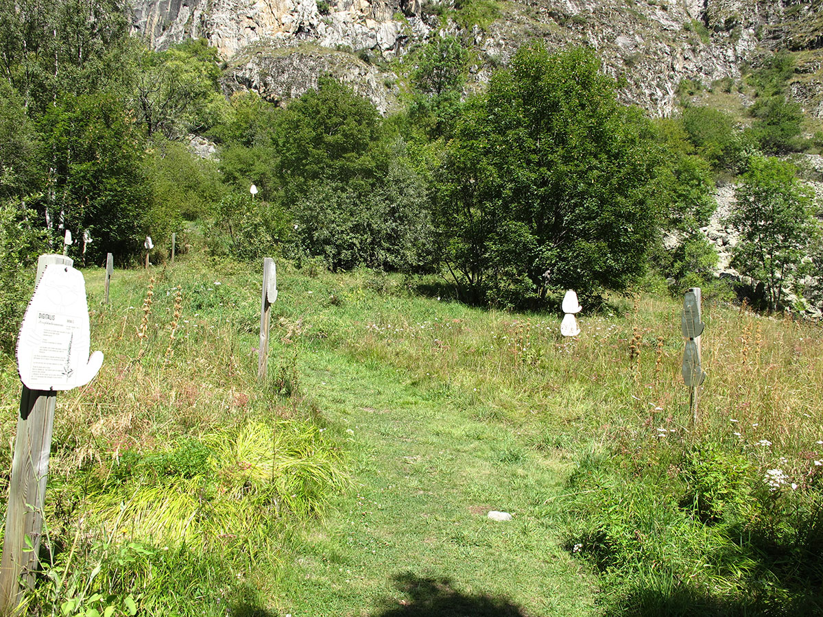 A la d&eacute;couverte de la flore