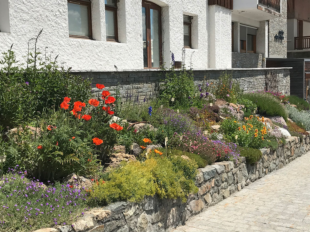 A la d&eacute;couverte de la flore