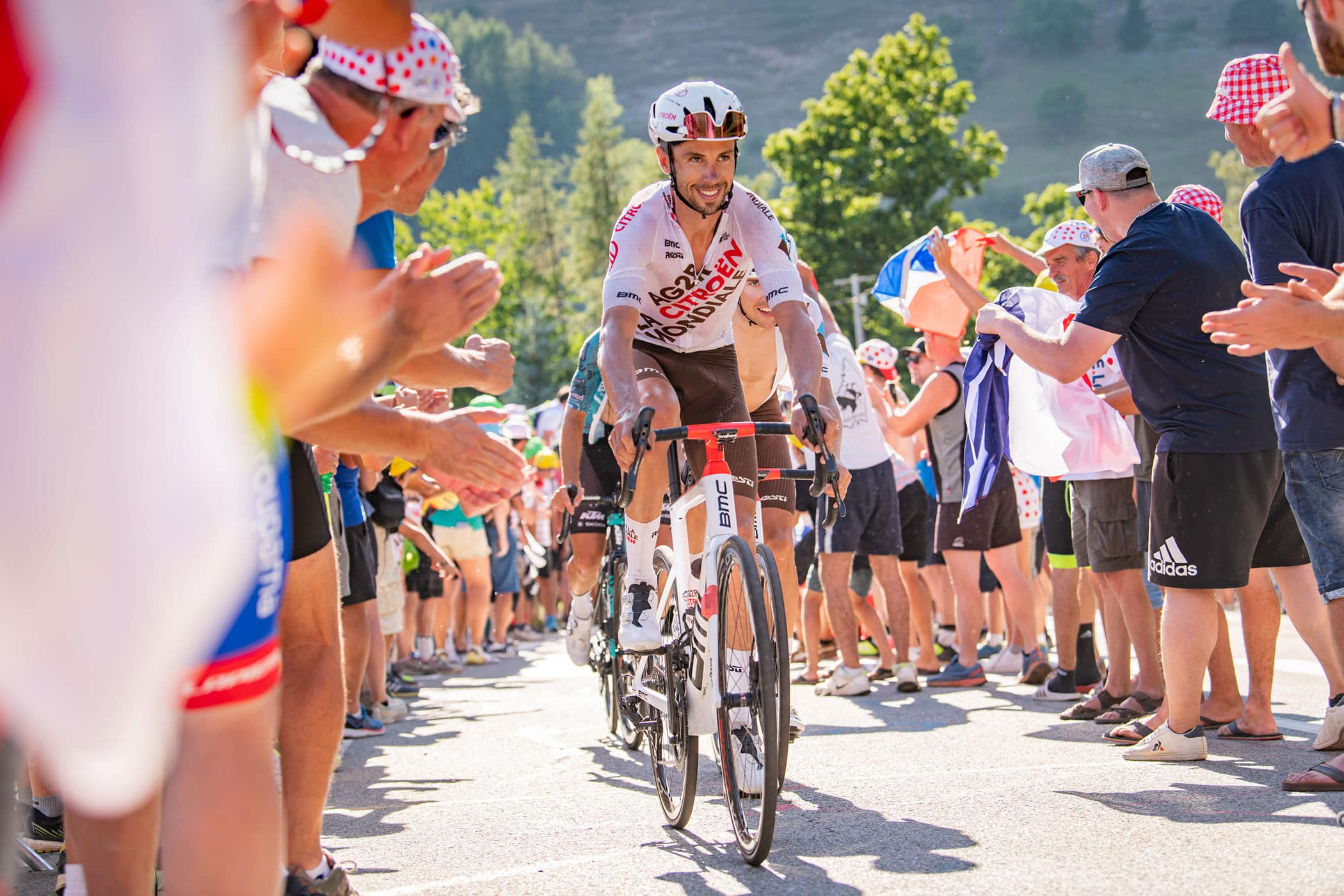 Animations: the full agenda