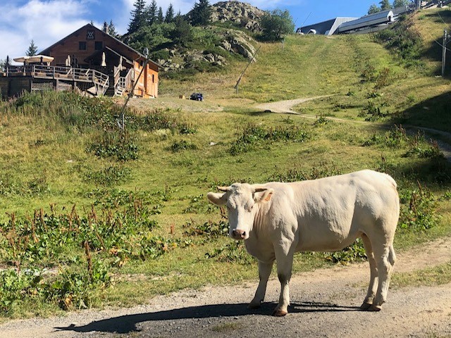 Aventure &eacute;t&eacute; 3