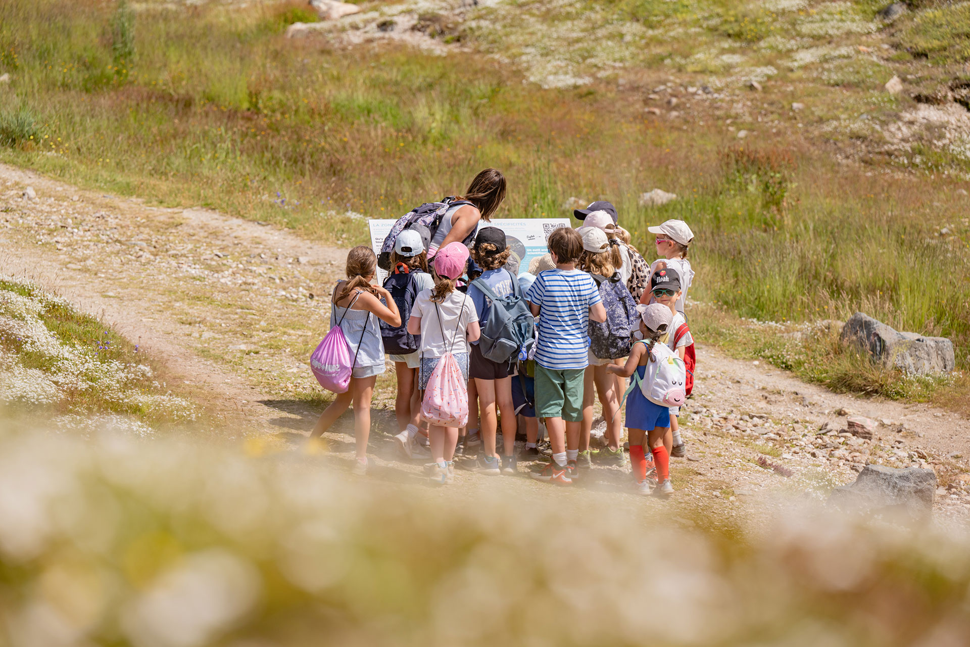 Mini Cat&rsquo;s Stages