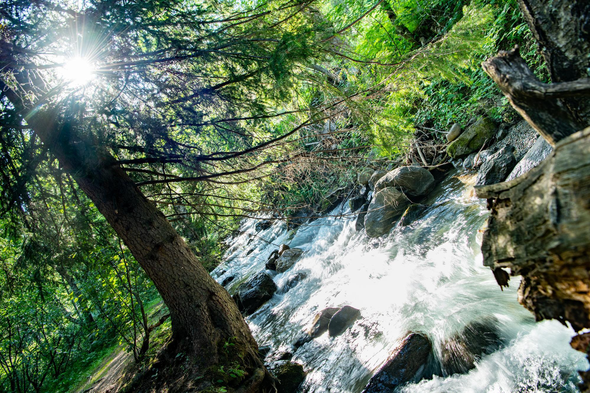 Balade Huez-Le Gua par les Gorges de Sarenne - niveau facile_Alpe d'Huez