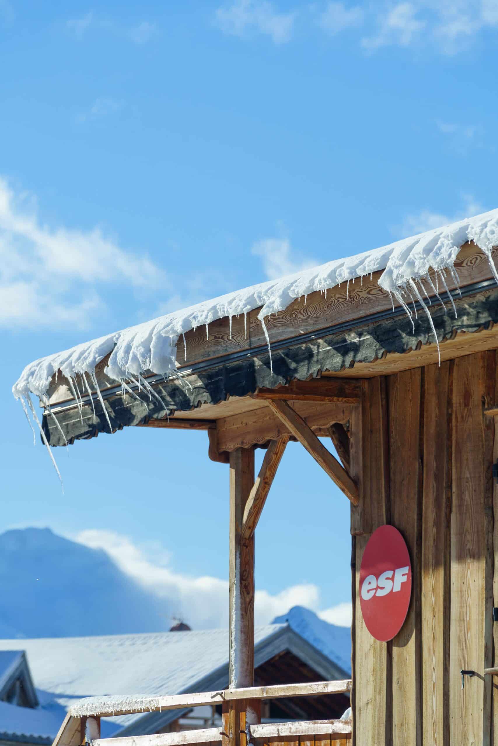 ©Bob Brunot - ESF Alpe d'Huez - 24 (1).jpg