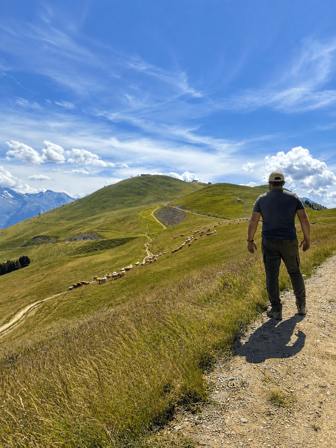 La Ferme des Cimes_Alpe d'Huez