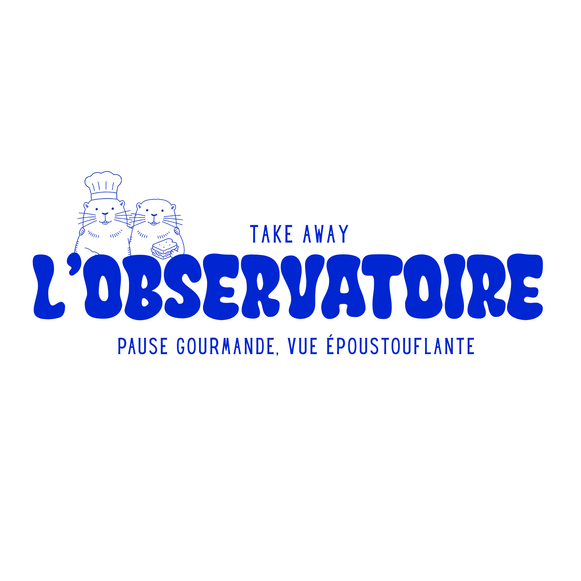 Logo observatoire.png