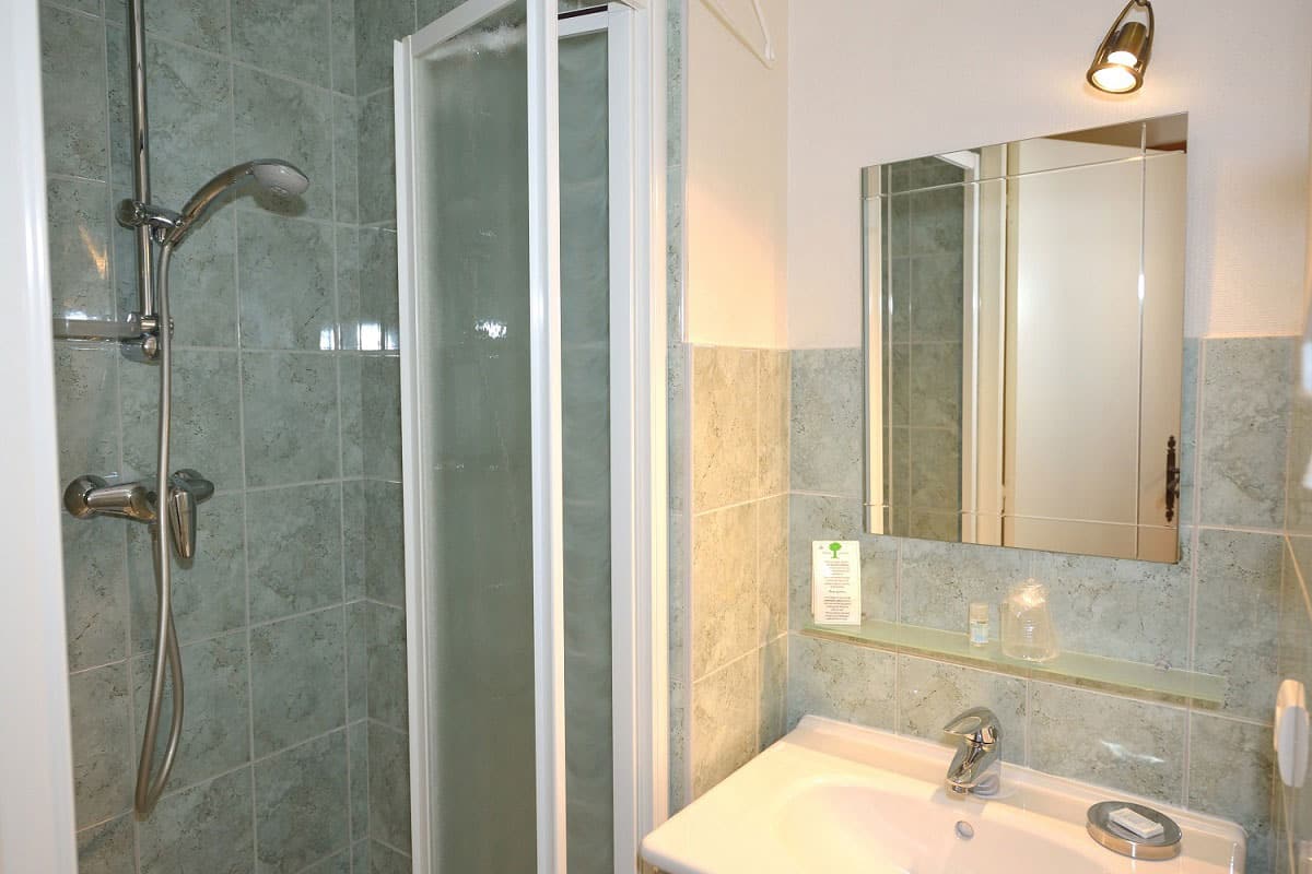 Chalet le D&eacute;nali SDB CH 5