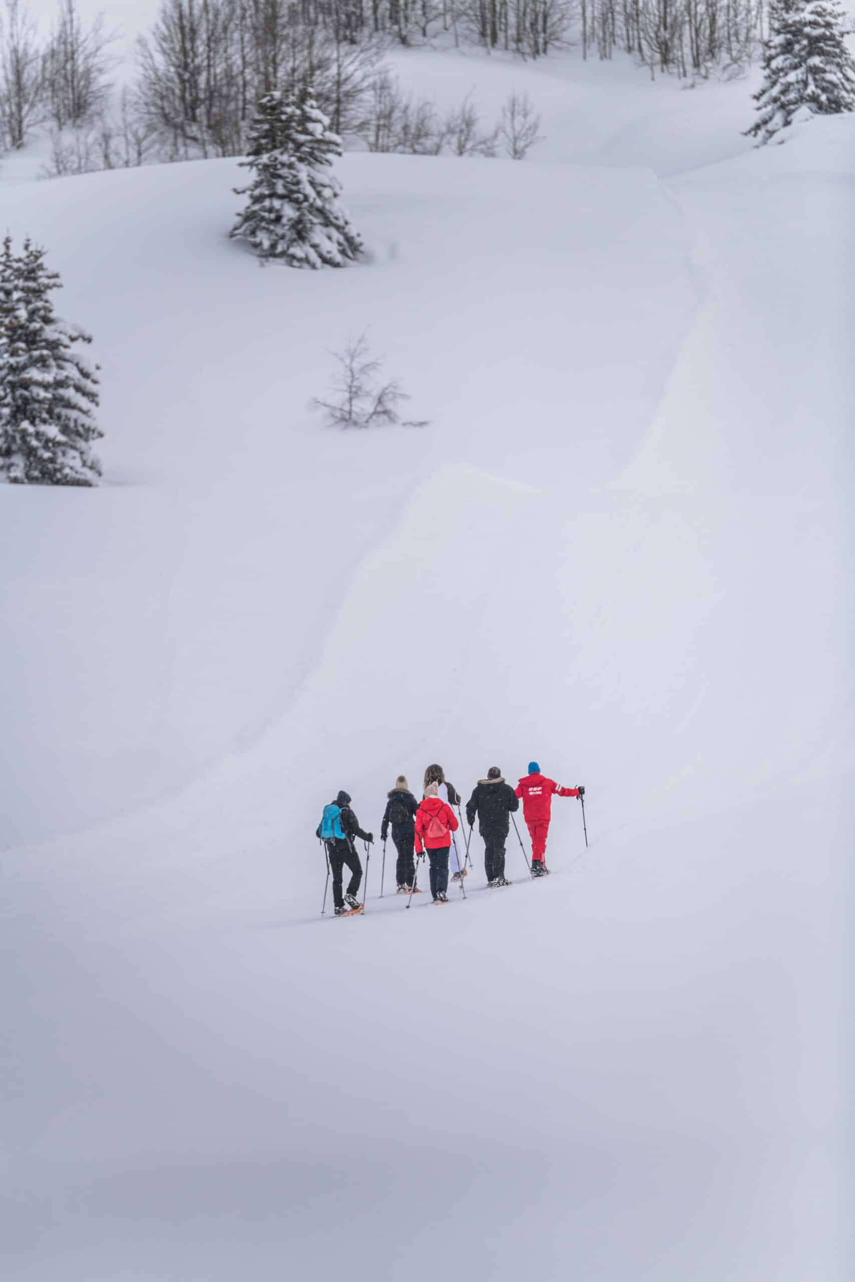 Ecole du ski fran&ccedil;ais_Alpe d'Huez