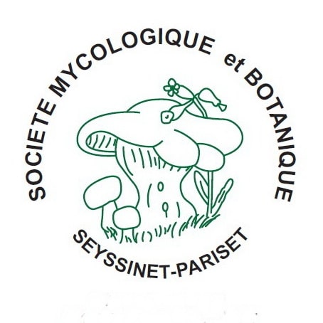 Initiation &agrave; la mycologie_Alpe d'Huez
